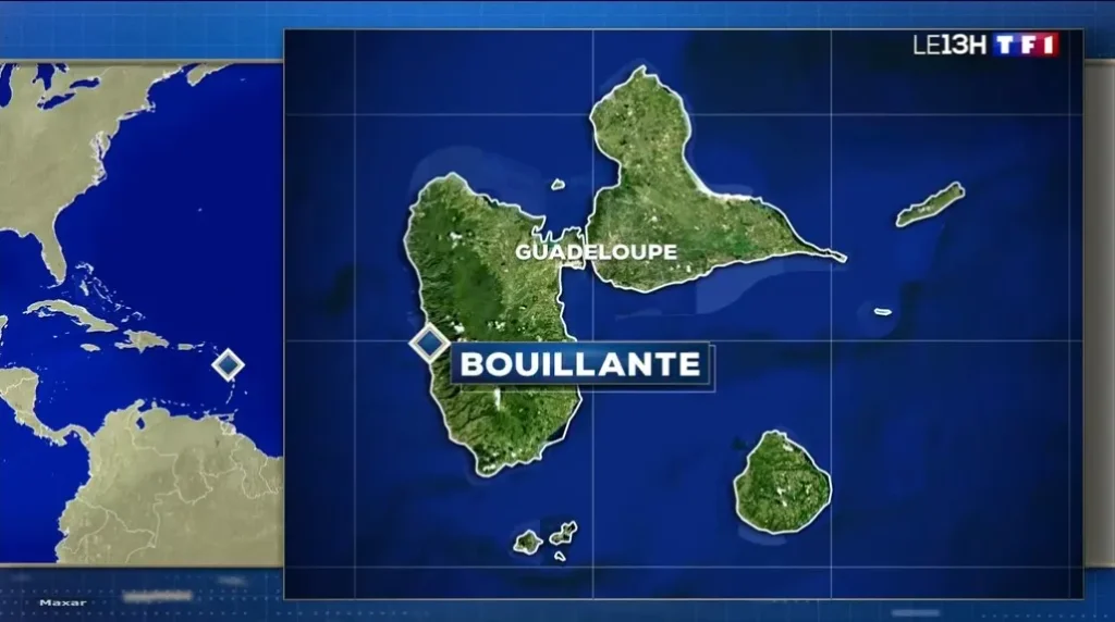 Reportage Gwada Pelagic JT 13H sur TF1 le 26 mai 2026 - Excursions cétacés baleines et dauphins à Bouillante en Guadeloupe