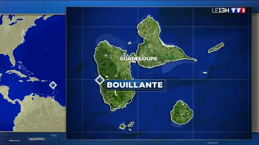 Reportage Gwada Pelagic JT 13H sur TF1 le 26 mai 2026 - Excursions cétacés baleines et dauphins à Bouillante en Guadeloupe